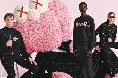 Dior x KAWS: The Snake Collection Everyone’s Talking About